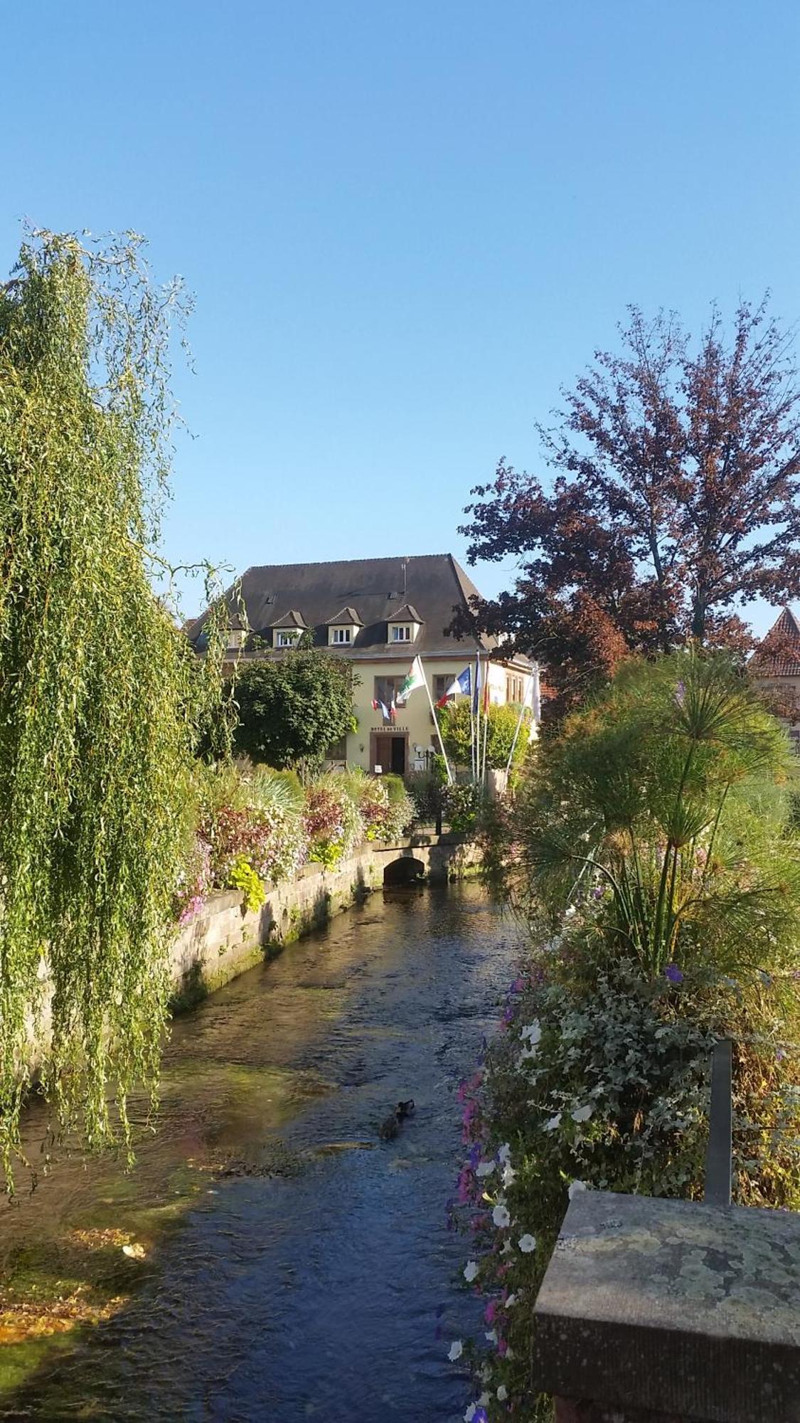 Meubles Du 25 N3 Studio 1Er Etage 니더브룬레벵즈 외부 사진